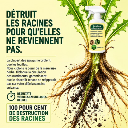 Soldes 2026✨ – Désherbant naturel à action rapide contre les mauvaises herbes et les graminées